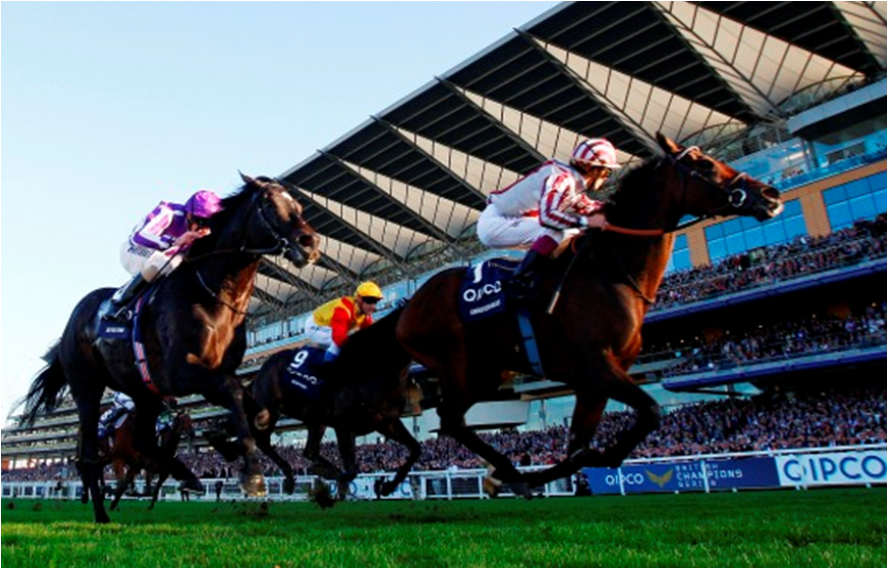 QIPCO British Champions Day 2013 live on Channel 4