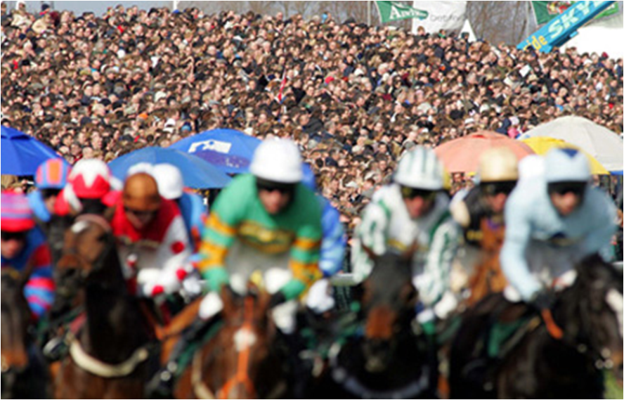 Festive racing 2013 on Channel 4