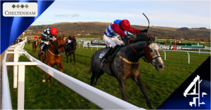 Cheltenham Open Meeting 2014 live on Channel 4